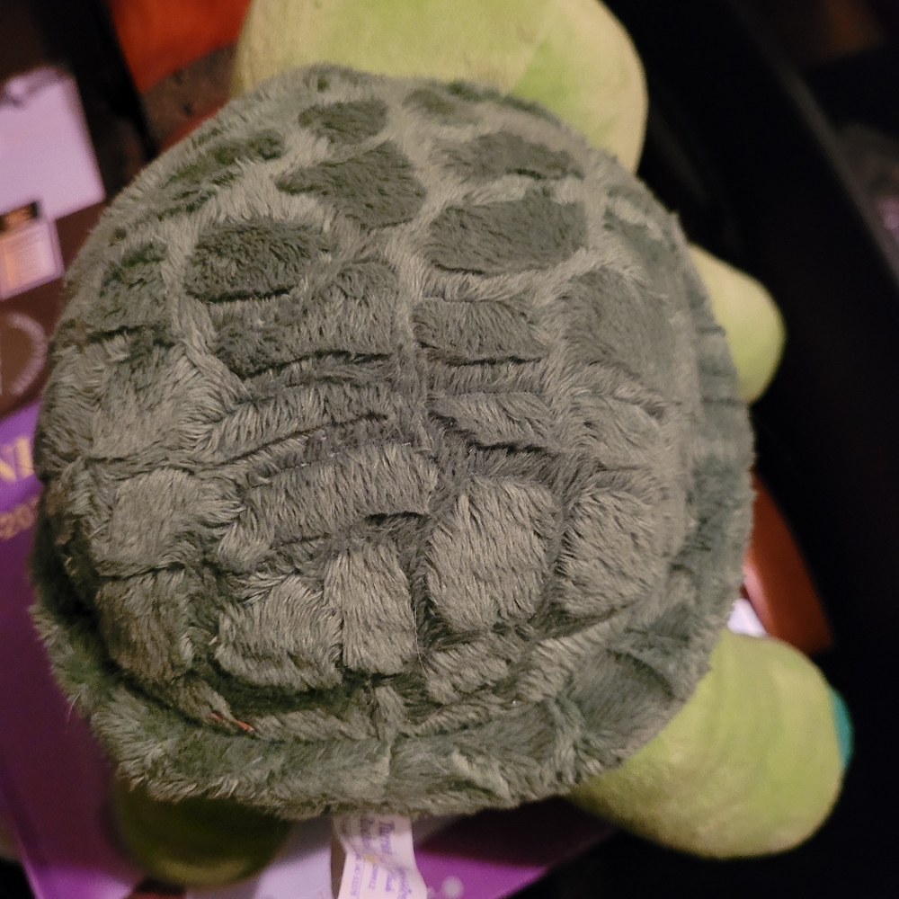 Turtle - Picture 3 of 4